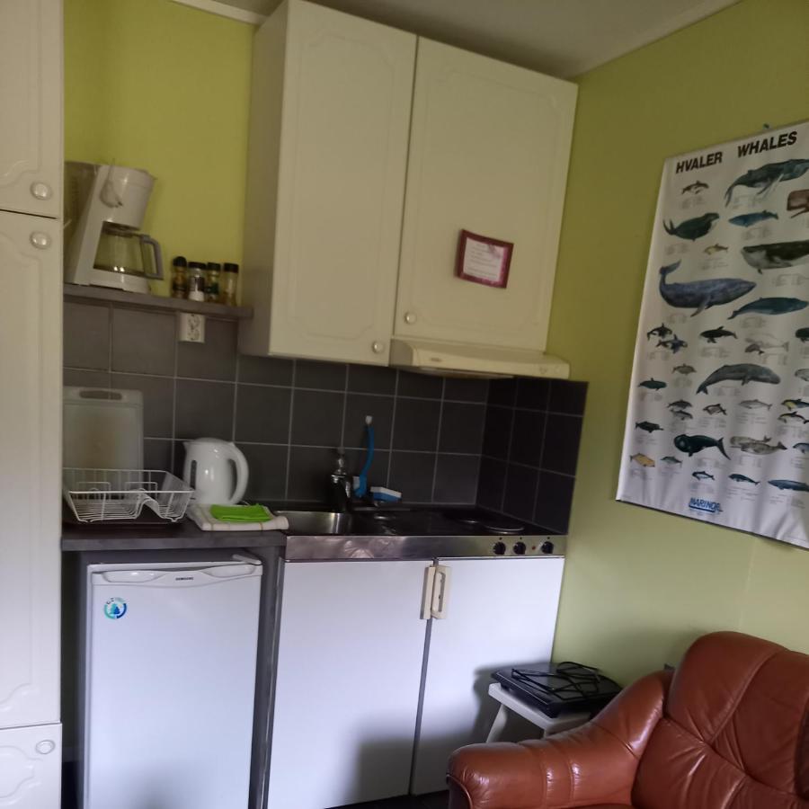 Apartment Milas House Two Fredvang